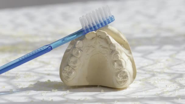 Οδοντικό Γύψο Και Μπλε Οδοντόβουρτσα Κλείσιμο — Αρχείο Βίντεο