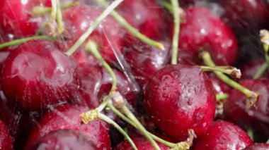 Sweet red cherries are being sprayed by water. High quality 4k footage