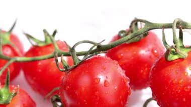 Closeup of cherry tomatoes. High quality 4k footage