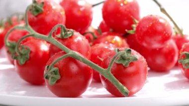 Closeup of cherry tomatoes. High quality 4k footage