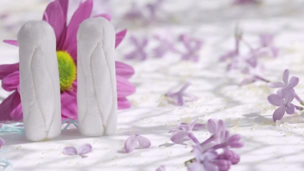 Closeup Tampon Surrounded Petals Purple Lilac Flower High Quality Footage — Wideo stockowe