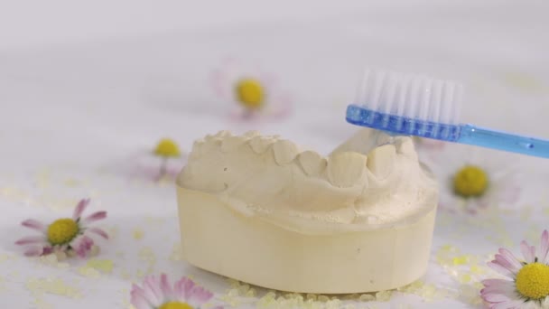 Odlew Dentystyczny Niebieska Szczoteczka Zębów Zbliżenie — Wideo stockowe