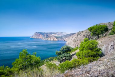 Pines Kırım sahil üzerinde