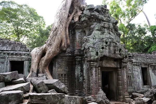 Templo del atardecer, Angkor Wat Camboya — Foto de Stock