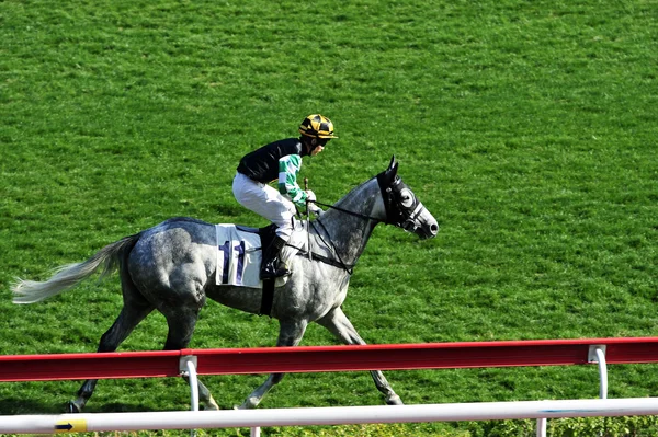 Corrida de cavalos — Fotografia de Stock