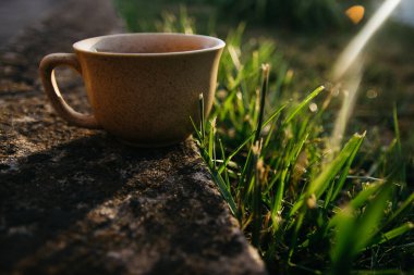 mug of coffee, tea on the background of home garden and sunset