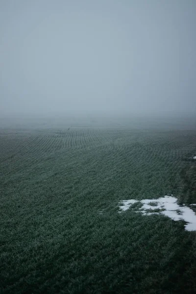 Thick Fog Covered Entire Field Autumn Time Garden — 图库照片