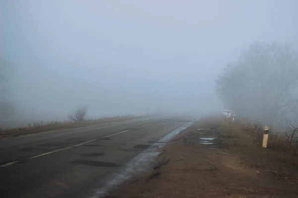 Foggy Weather Rays Sun Break Fogfog Way — Stock Photo, Image