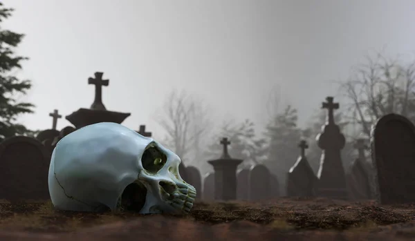 Gruseliger Totenschädel Auf Dem Friedhof Nebligen Morgen Gräber Herum Gerenderte — Stockfoto