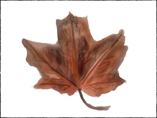 Digital Watercolor Painting Autumn Leaf White Background — Stock Photo, Image