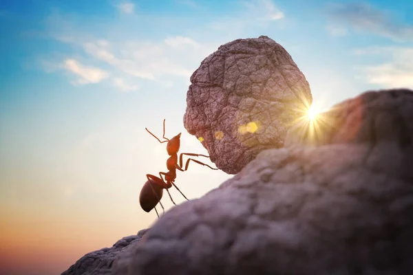 Worker Ant Pushing Heavy Boulder Hill Rendered Illustration — Stock Photo, Image