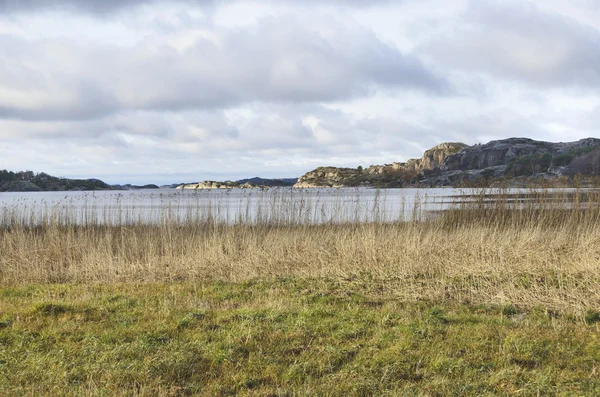 Uitzicht op de fjord trail — Stockfoto