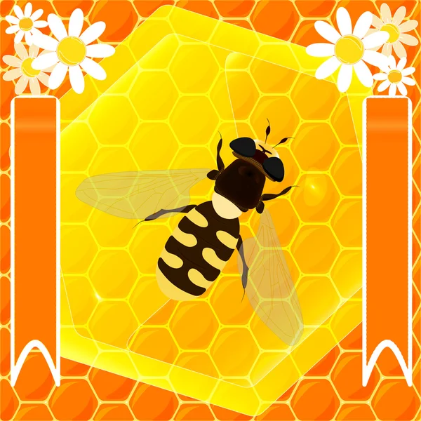 Bijen en honing — Stockvector