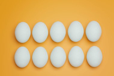Sarı arka planda on beyaz tavuk yumurtası. Yaratıcı gıda minimalist arka plan.