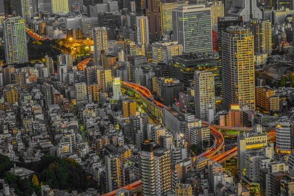 Вид Закат Вечерний Вид Центр Токио Место Съемок Столичный Район — стоковое фото