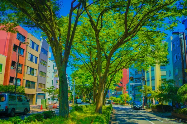 Wasedas Frisches Grün Und Blauer Himmel Drehort Großraum Tokio — Stockfoto