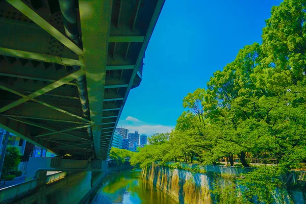 Wasedas Taze Yeşil Mavi Gökyüzü Çekim Yeri Tokyo Büyükşehir Bölgesi — Stok fotoğraf