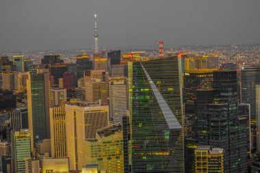 Tokyo şehir merkezinin gün batımı ve akşam manzarası. Çekim yeri: Tokyo Büyükşehir Bölgesi