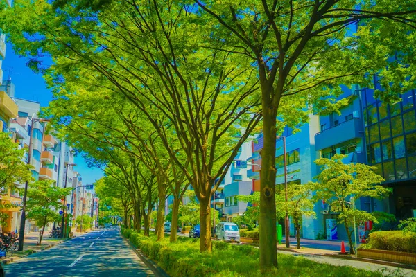 Wasedas Färska Gröna Och Blå Himmel Fotografering Plats Tokyo Storstadsområde — Stockfoto