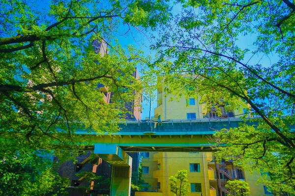 Wasedas Fresco Cielo Verde Azul Ubicación Del Disparo Zona Metropolitana —  Fotos de Stock