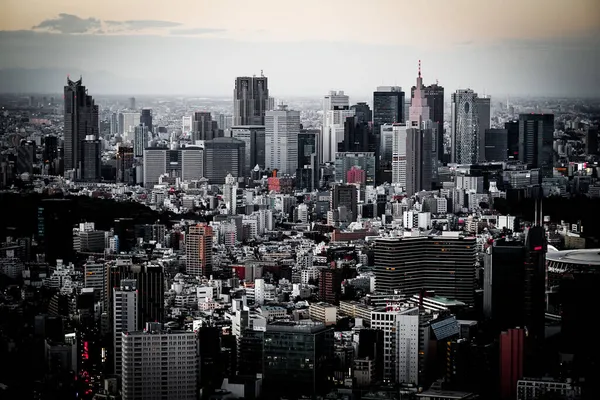Sonnenuntergang Und Abendblick Auf Die Stadt Zentrum Tokios Drehort Großraum — Stockfoto