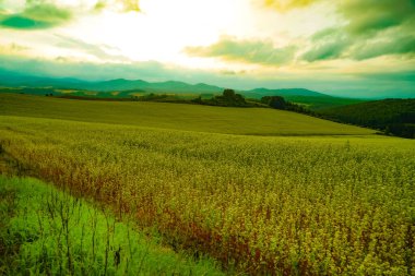 Hokkaido 'da çayırda gün batımı manzarası. Çekim Konumu: Hokkaido Biei-cho
