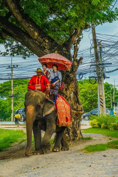象のキャンプ象 タイオータヤ 撮影場所 アユタヤ — ストック写真