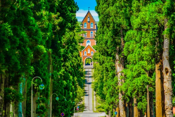 Trapist Monastery Suginami Woodwork Shooting Location Hokkaido — Stock Photo, Image