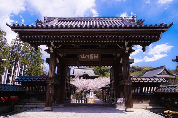 Άνθη Κερασιάς Της Jinagiji Και Πλήρη Άνθιση Πόλη Kamakura Τοποθεσία — Φωτογραφία Αρχείου