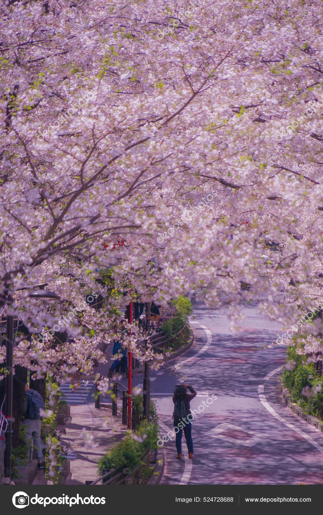 sakurasaka