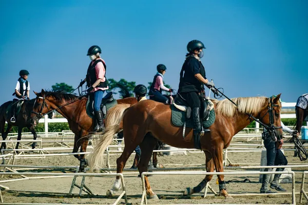 Afbeelding Van Een Manege Schietplaats Sendai Prefectuur Miyagi — Stockfoto