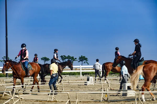 Afbeelding Van Een Manege Schietplaats Sendai Prefectuur Miyagi — Stockfoto