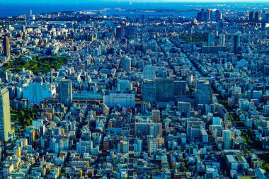 Tokyo Köprüsü ve Tokyo şehri. Çekim yeri: Sumida Ward, Tokyo