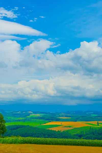 Letni Krajobraz Wzgórza Miejsce Fotografowania Hokkaido Furano — Zdjęcie stockowe