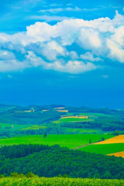Tepeden yaz manzarası. Çekim Konumu: Hokkaido Furano