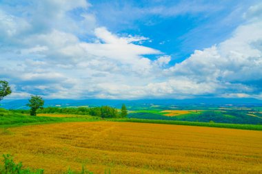 Tepeden yaz manzarası. Çekim Konumu: Hokkaido Furano