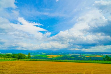 Tepeden yaz manzarası. Çekim Konumu: Hokkaido Furano