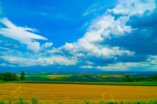 Sommerlandschaft Vom Hügel Aus Drehort Hokkaido Furano — Stockfoto