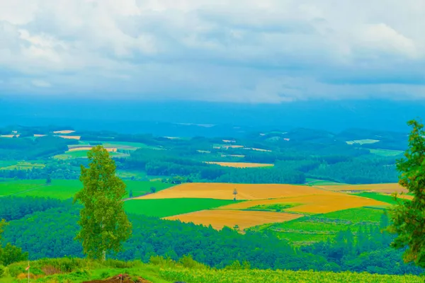Tepeden yaz manzarası. Çekim Konumu: Hokkaido Furano