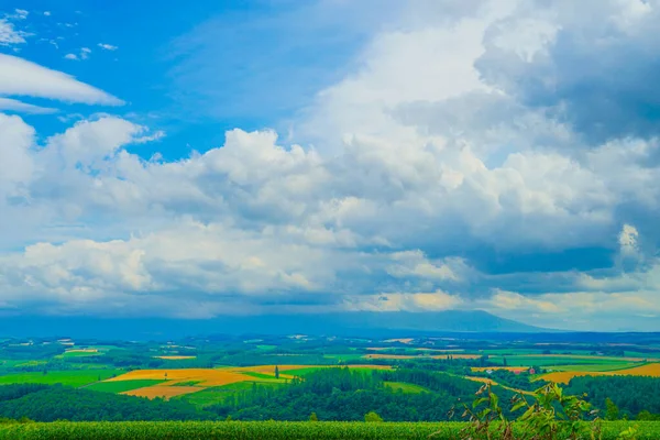 Tepeden yaz manzarası. Çekim Konumu: Hokkaido Furano