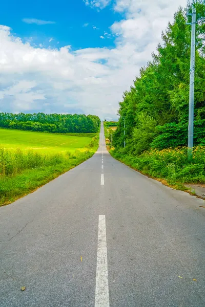 Hokkaido Lange Weg Natuur Schietplaats Hokkaido Biei Cho — Stockfoto