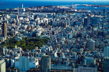 Tokyo Köprüsü ve Tokyo şehri. Çekim yeri: Sumida Ward, Tokyo