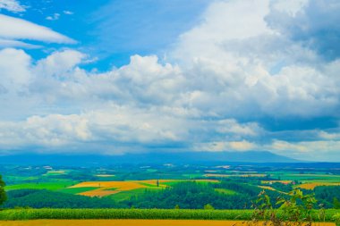 Tepeden yaz manzarası. Çekim Konumu: Hokkaido Furano