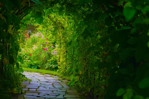 Imagem Túnel Das Plantas Localização Tiro Hokkaido Furano — Fotografia de Stock