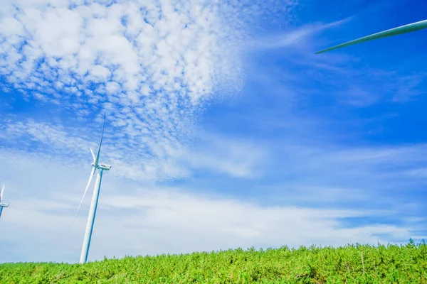 Stort Vindkraftverk Förnybar Energi Fotografering Plats Akita — Stockfoto