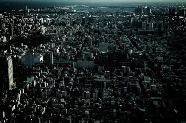 Tokyo Köprüsü ve Tokyo şehri. Çekim yeri: Sumida Ward, Tokyo