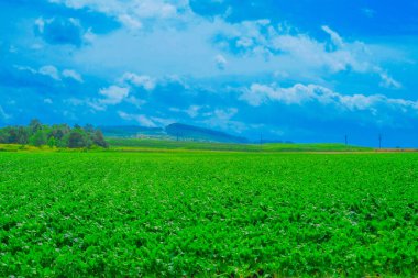Furanos sade ve bulutlu gökyüzü. Çekim Konumu: Hokkaido Furano
