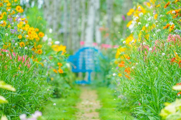 Camino Rodeado Flores Multicolores Ubicación Del Disparo Hokkaido Furano —  Fotos de Stock