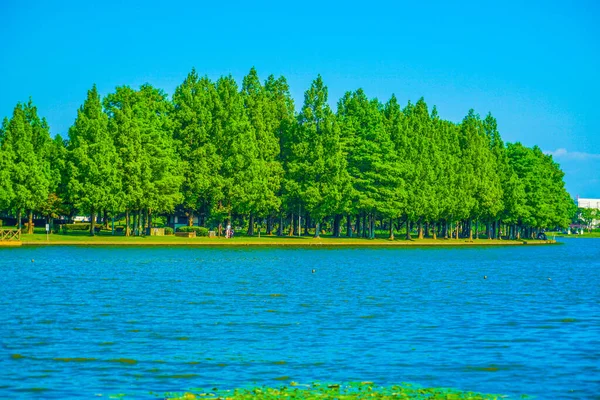 Mizumoto Park Pădure Cer Albastru Locație Fotografiere Katsushika Tokyo — Fotografie, imagine de stoc