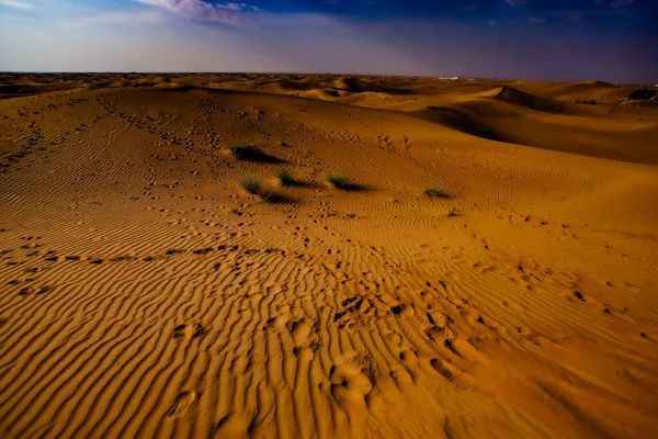 Deserto Árabe Dubai Localização Tiro Emirados Árabes Unidos — Fotografia de Stock